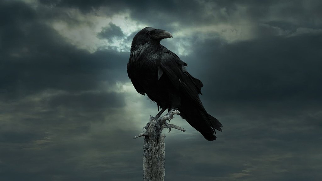 Three-Eyed Raven