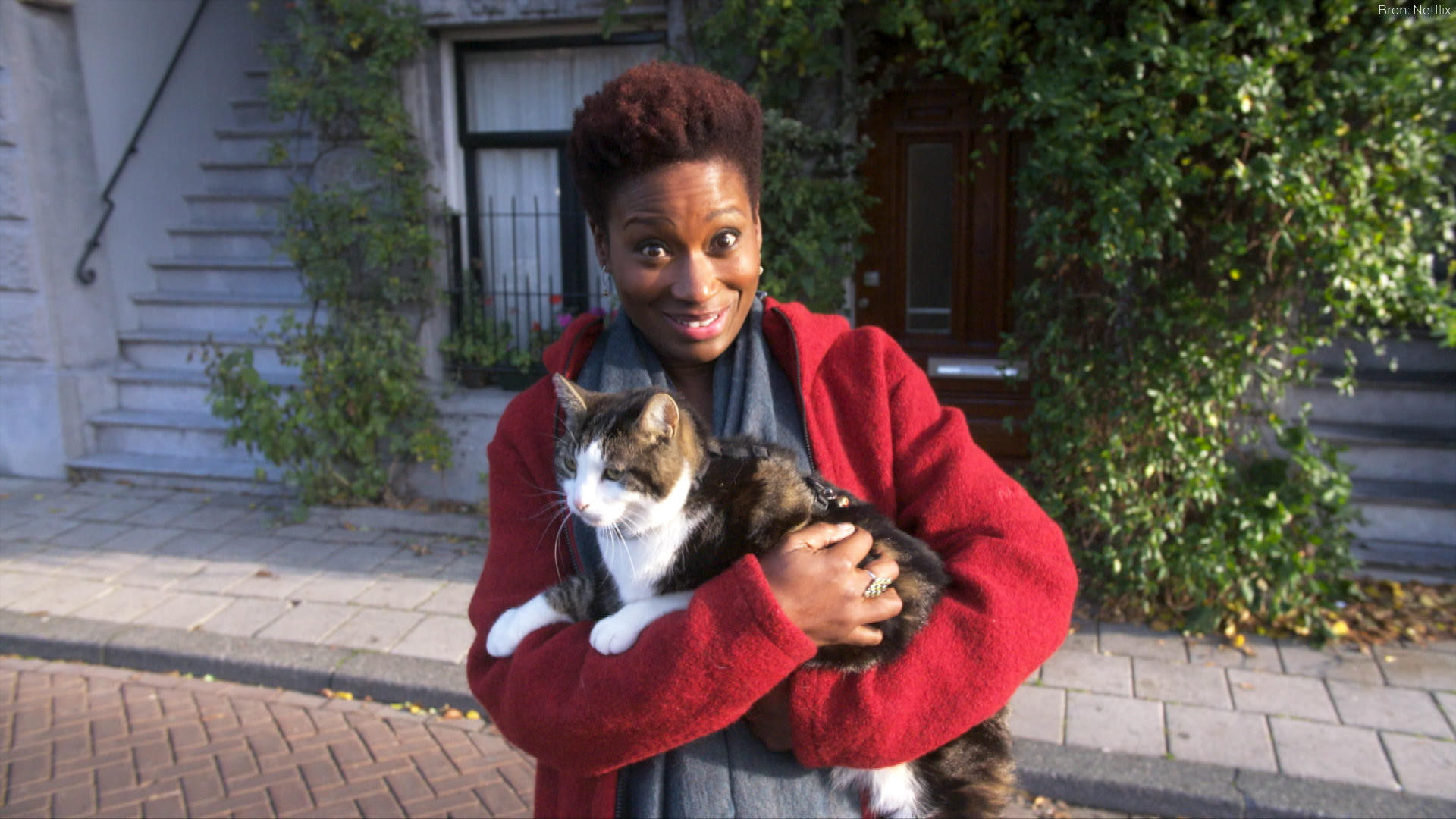Kitty Love: An Homage to Cats