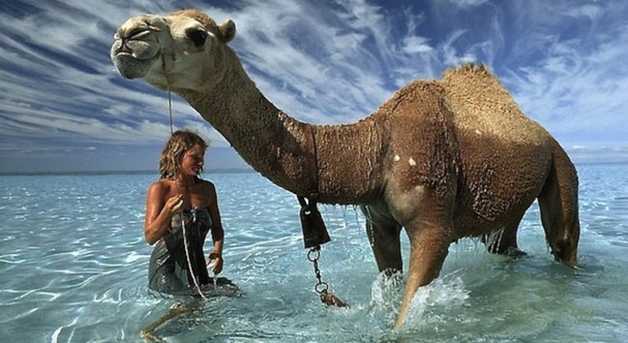 Robyn Davidson
