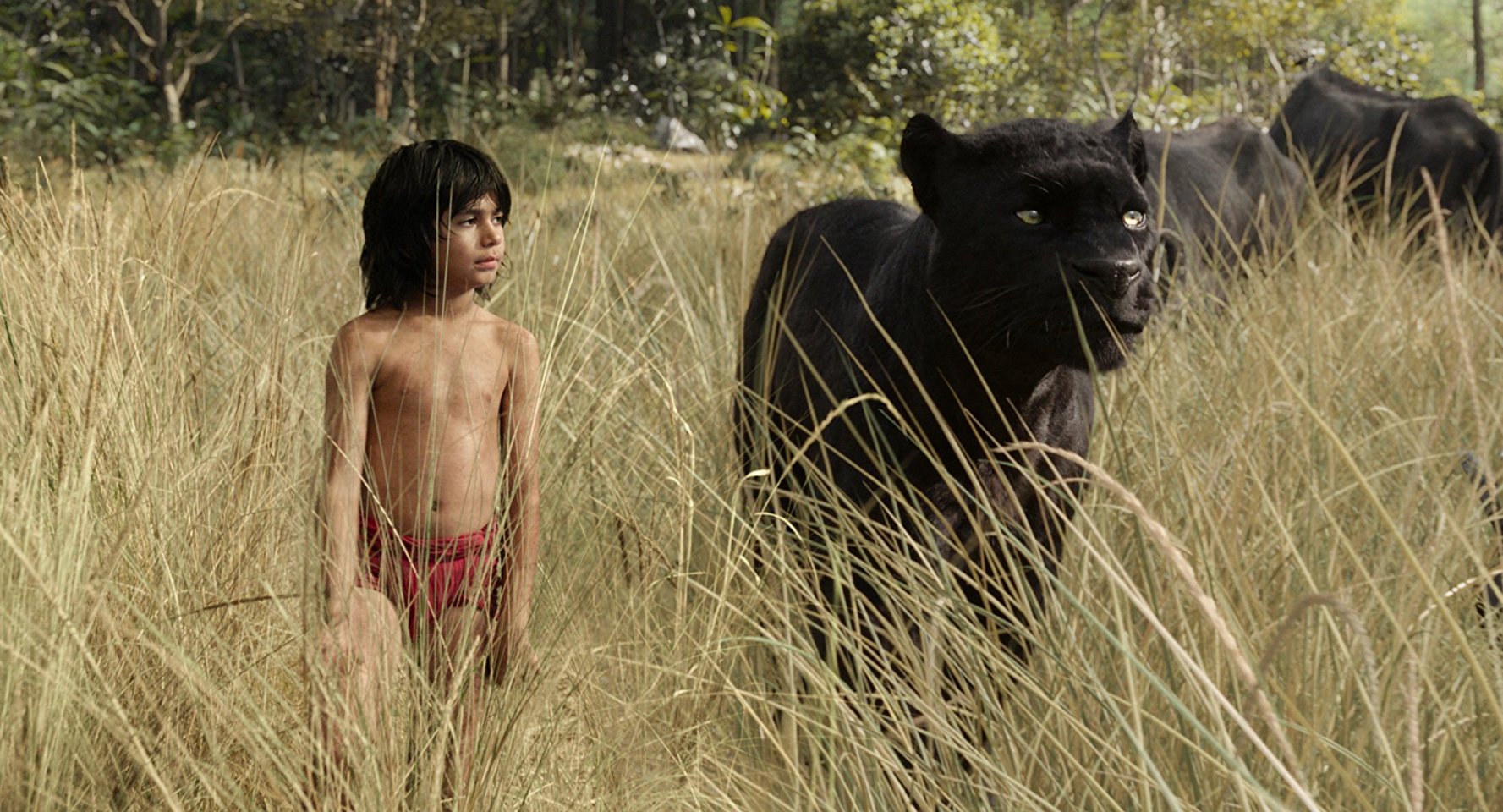 Mowgli