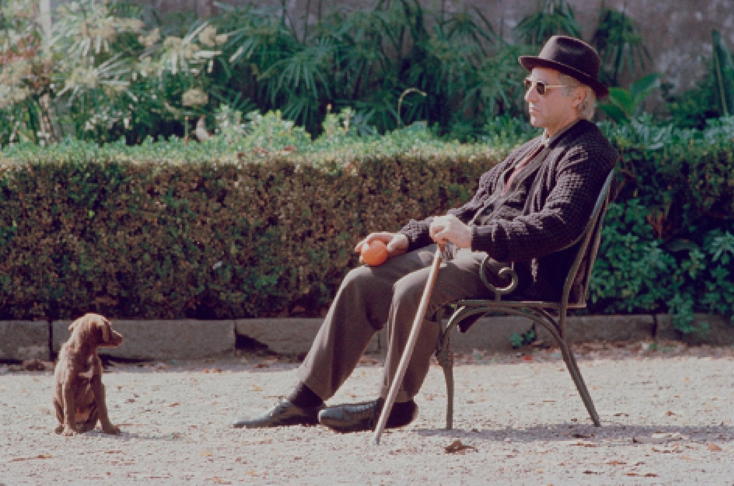 Don Michael Corleone