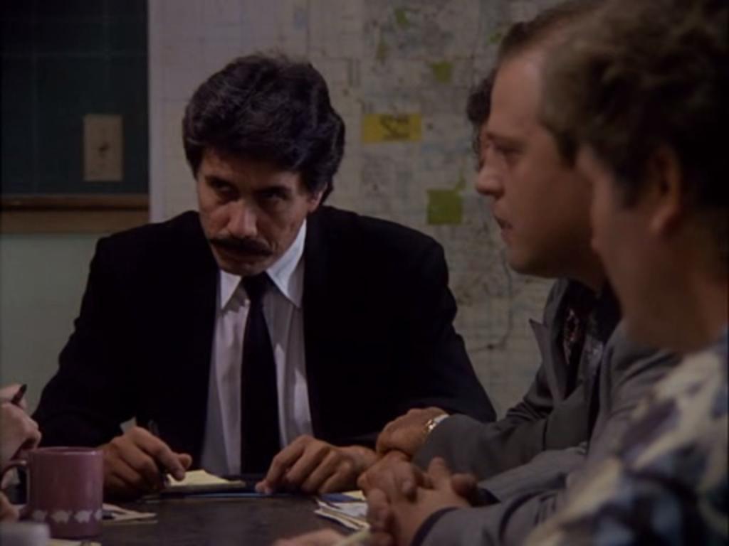 Detective Stan Switek