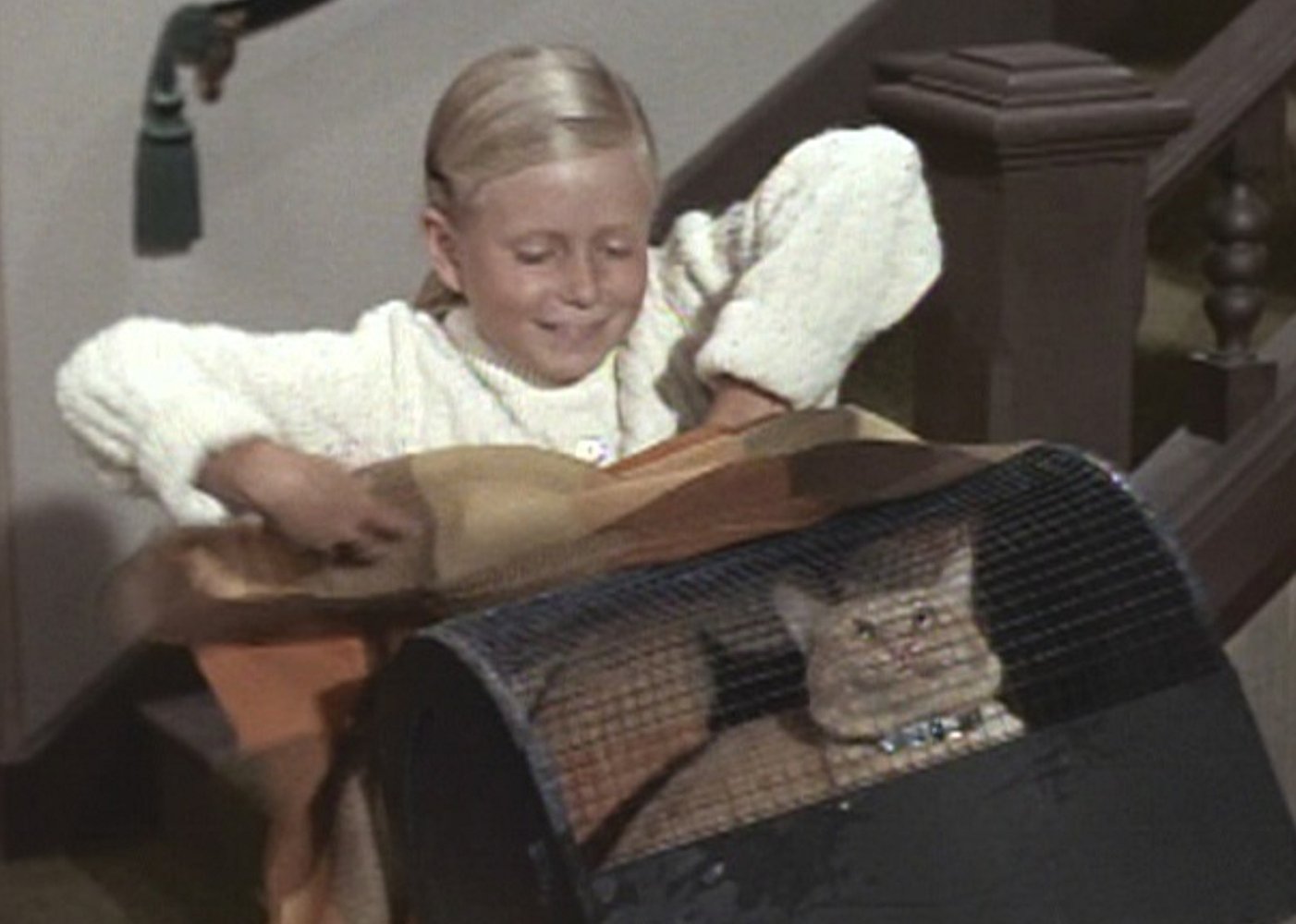 Jan Brady