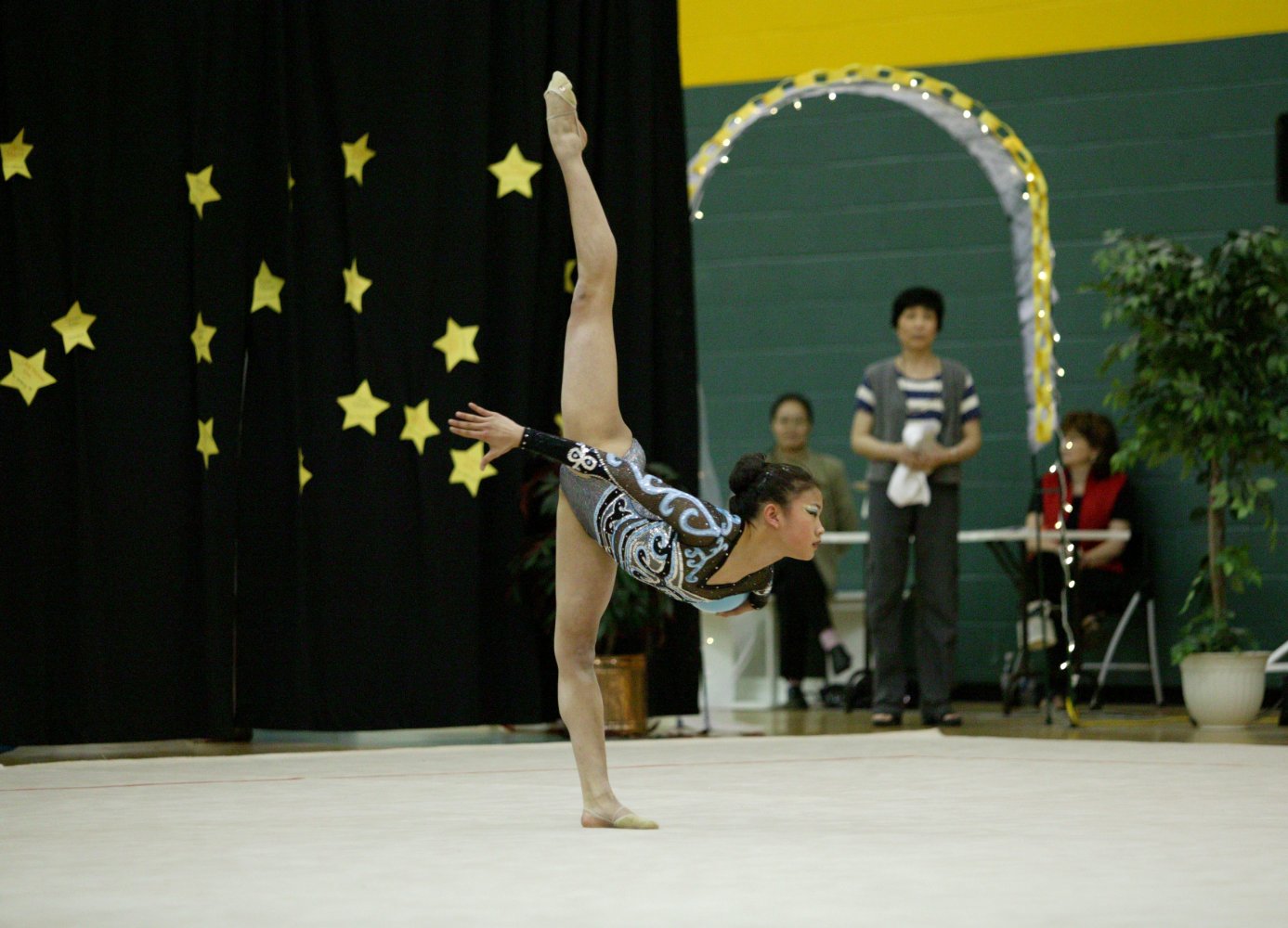 Megan Hui