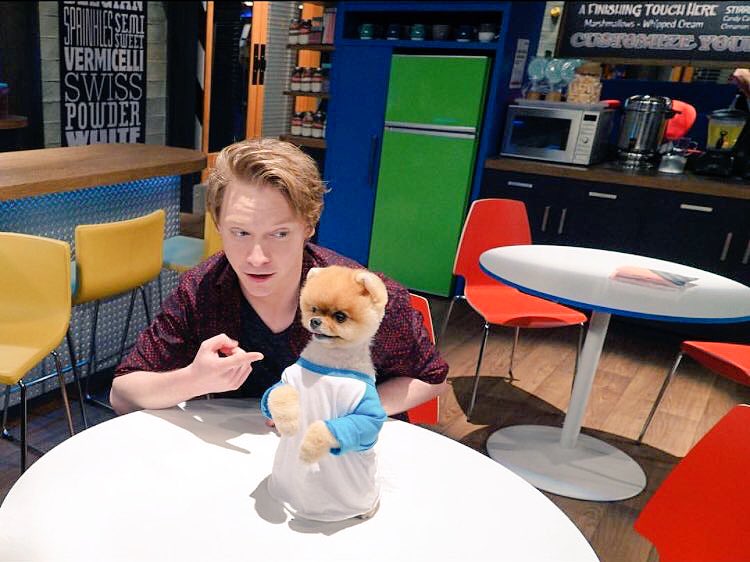 Jiffpom