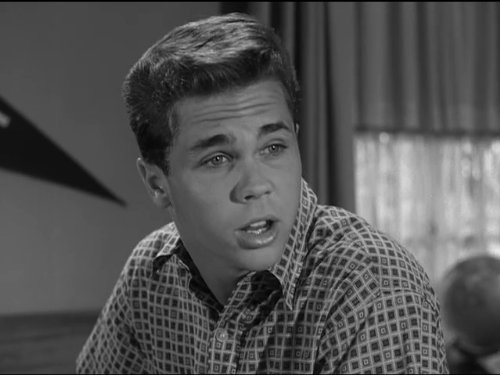 Wally Cleaver