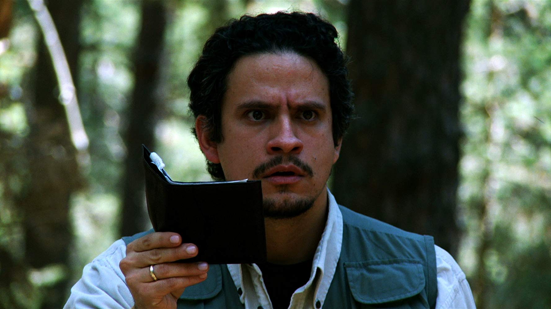 Luis del Valle