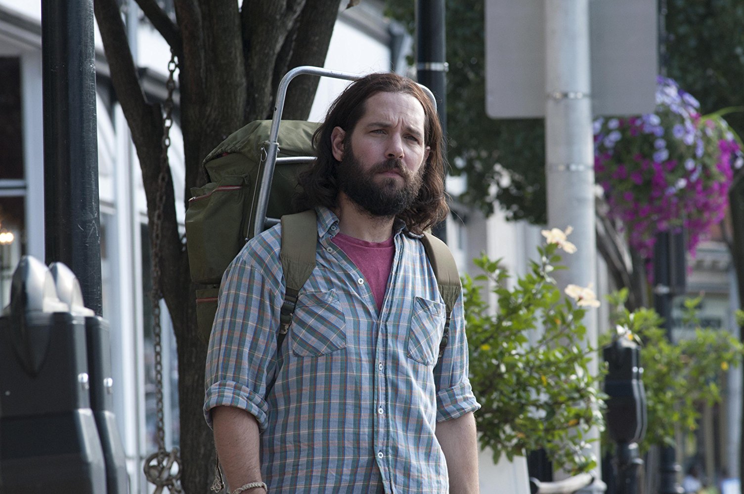 Ned