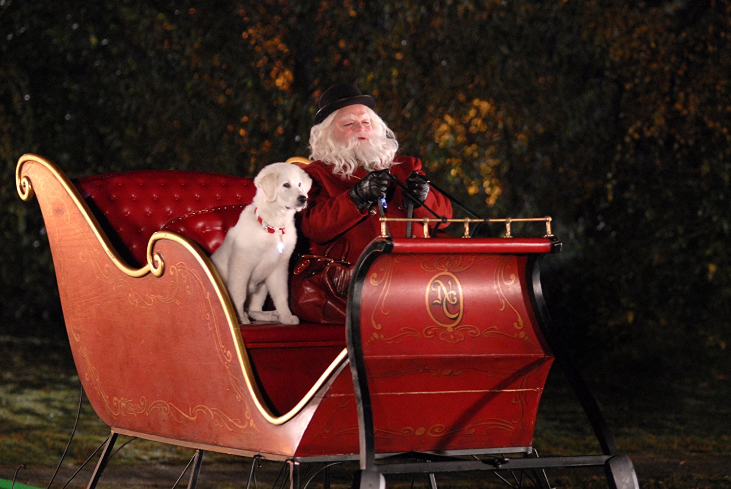 Santa Paws