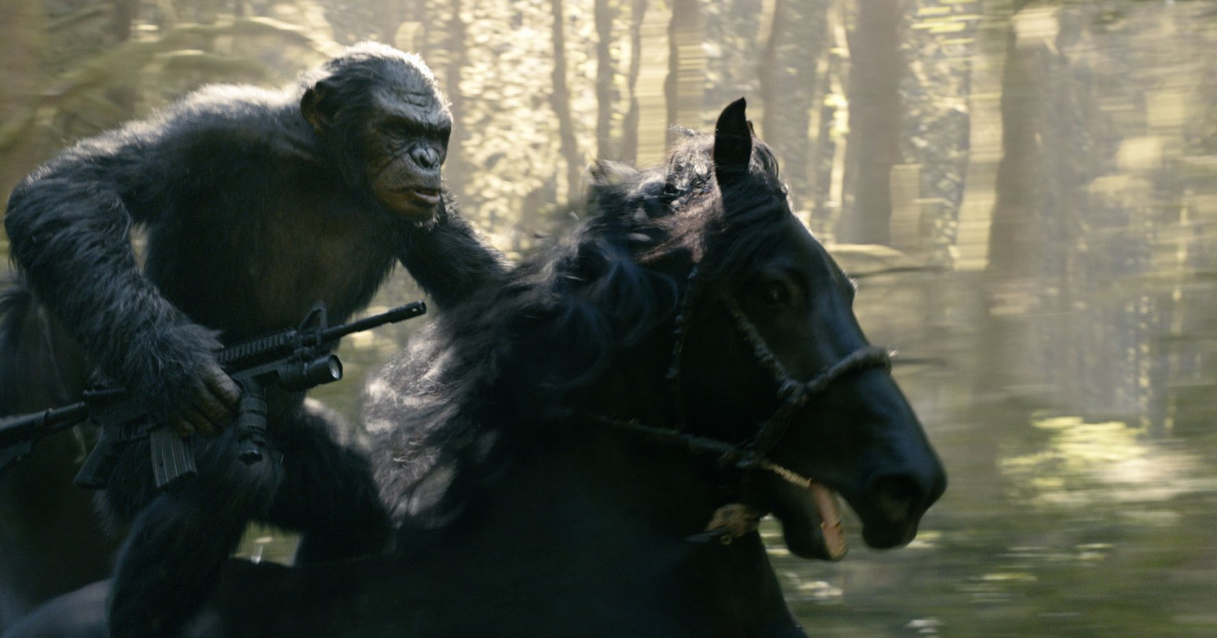 Koba
