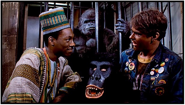 Gorilla