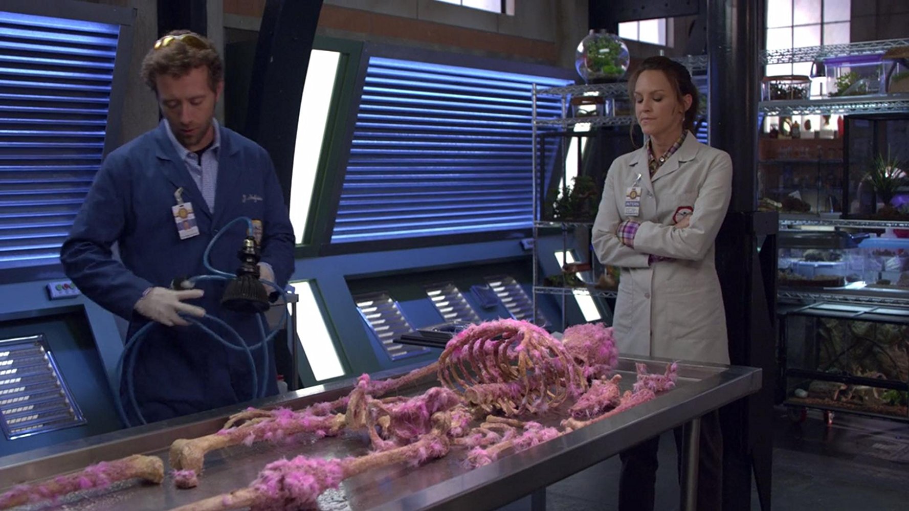 Dr. Jack Hodgins