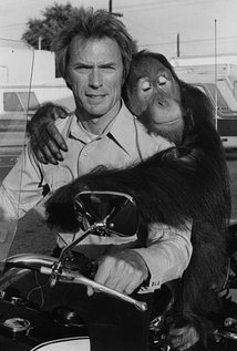 Manis the Orangutan