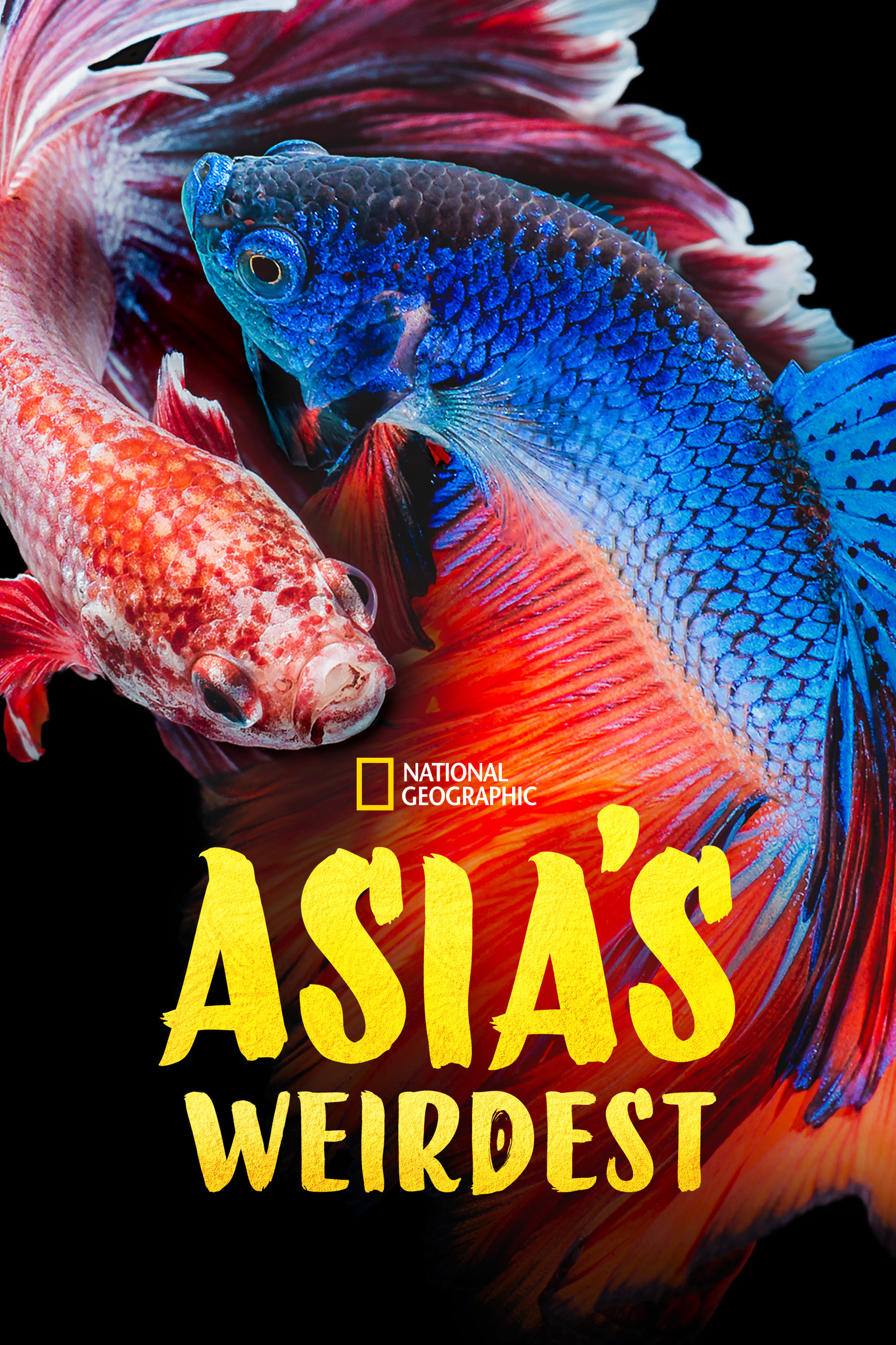 Asias Weirdest - Season 1