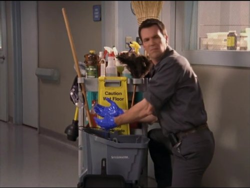 The Janitor
