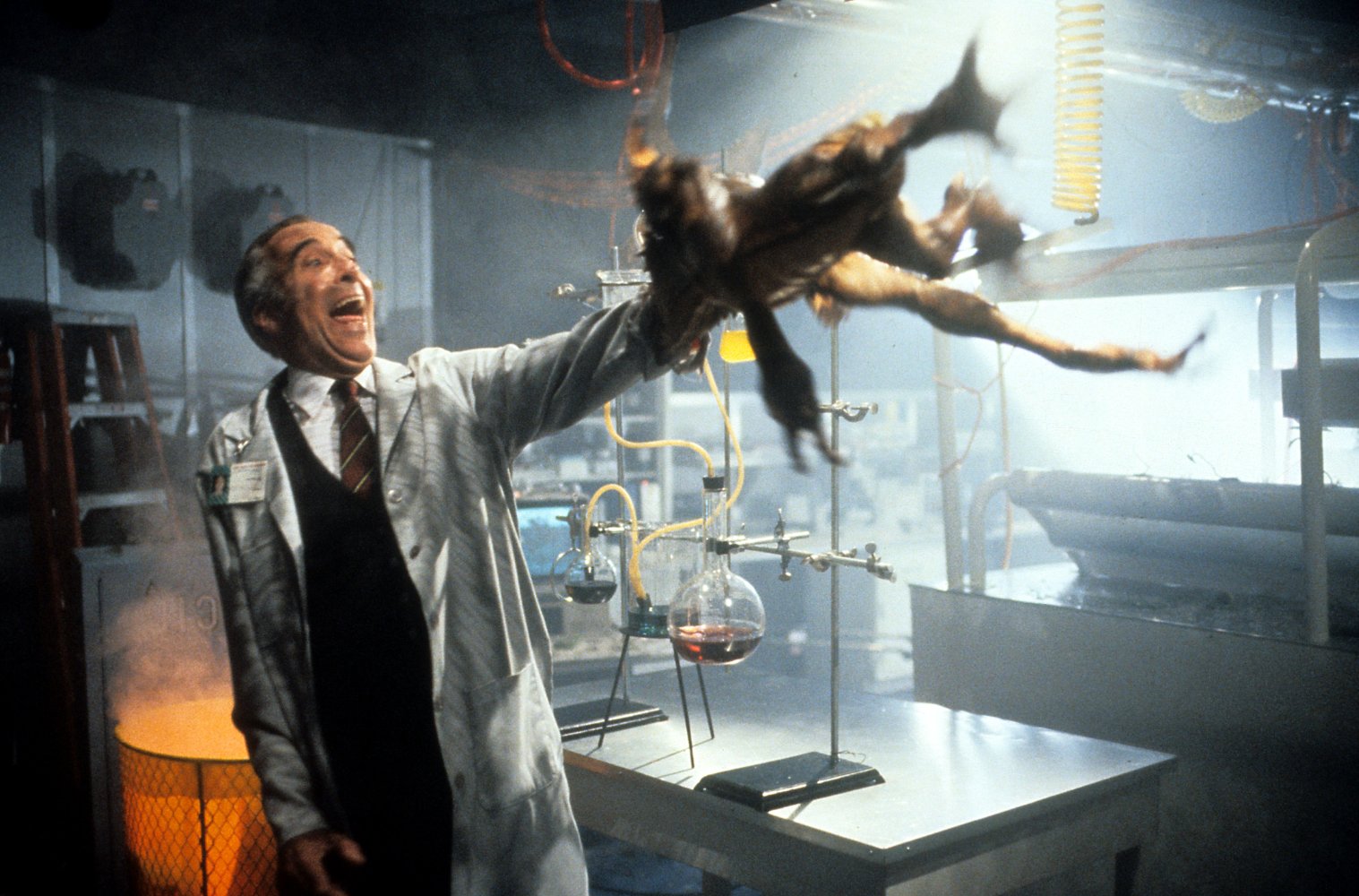 Doctor Catheter