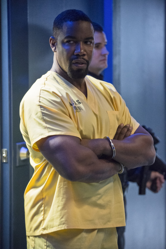Michael Jai White