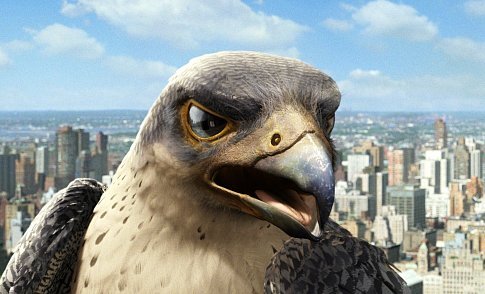 Falcon