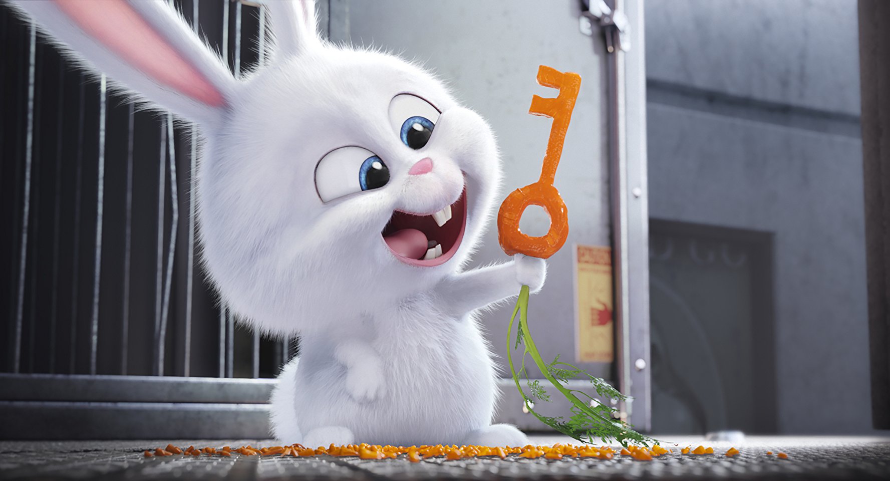 Snowball