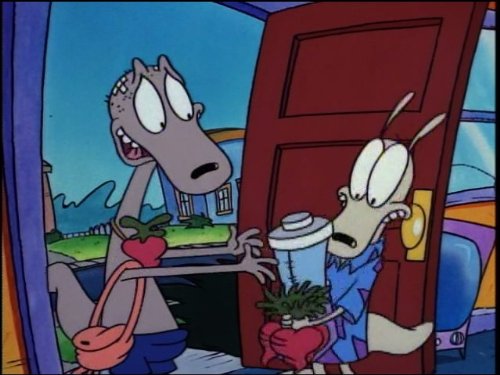 Rocko