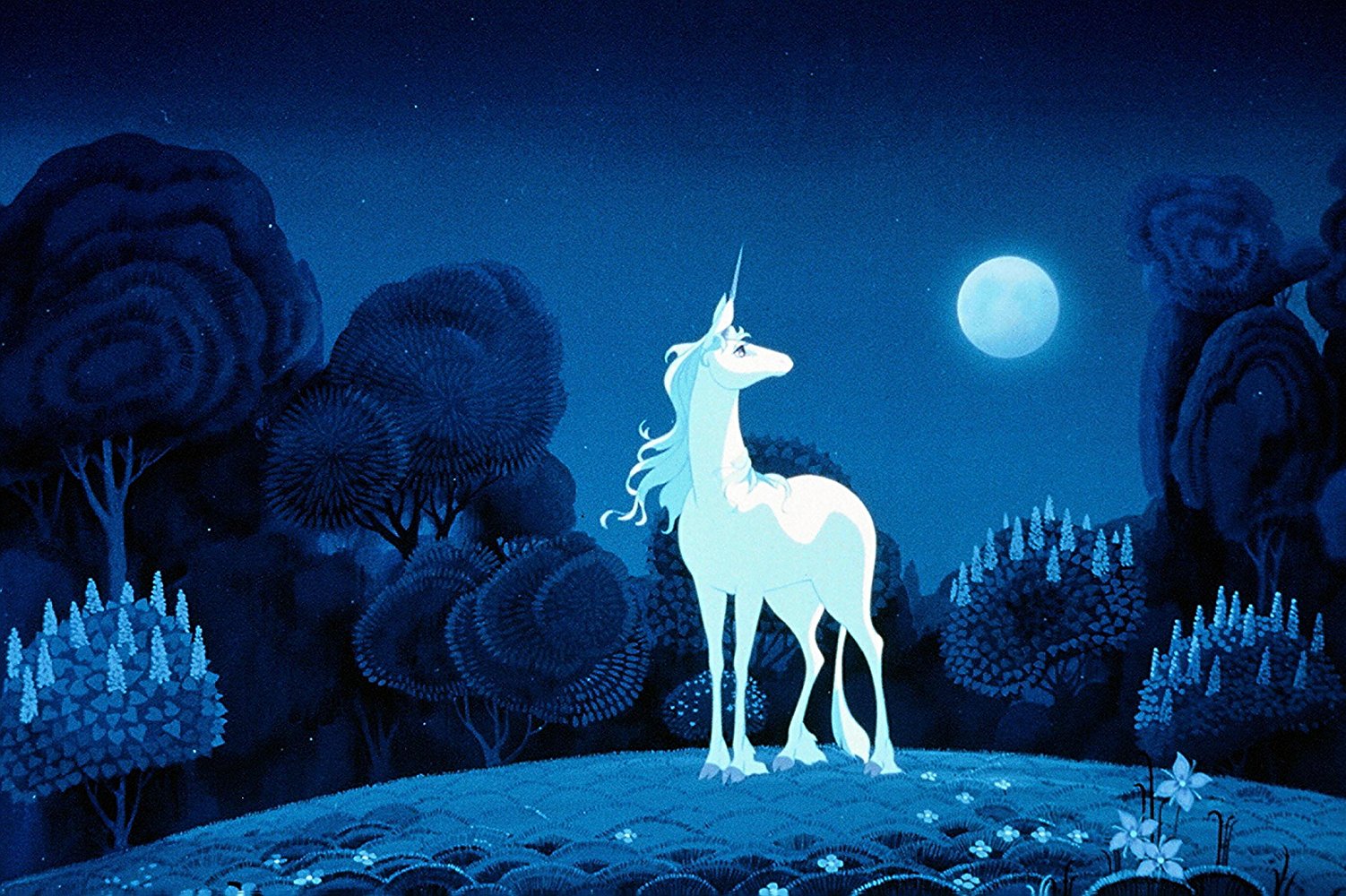 Unicorn