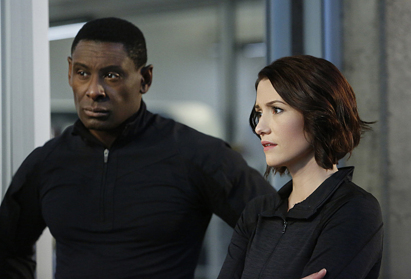 David Harewood