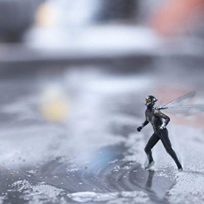 Hope Van Dyne, Wasp