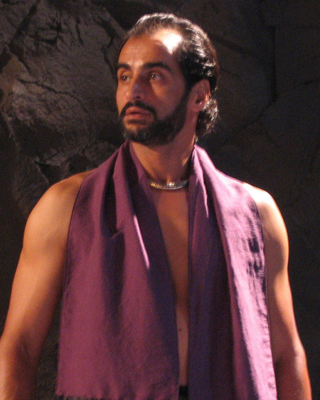 Navid Negahban