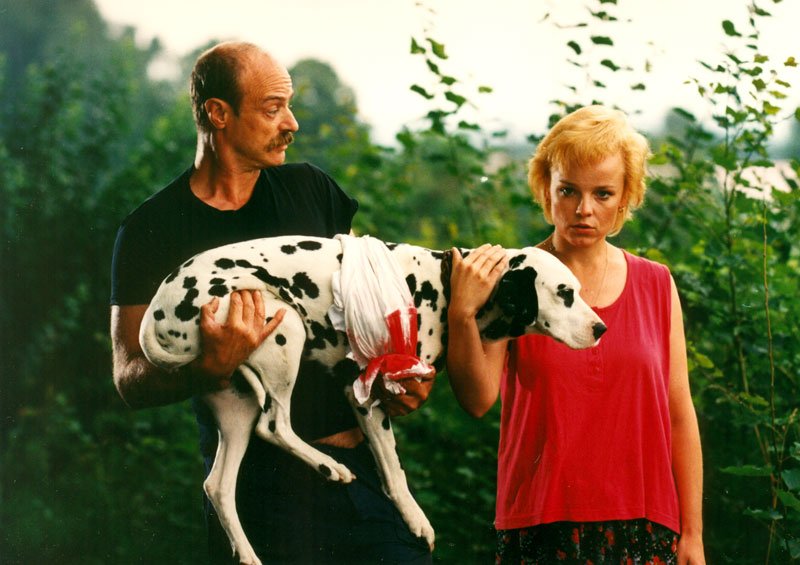 Pavel Nový