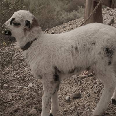 Moses the Lamb