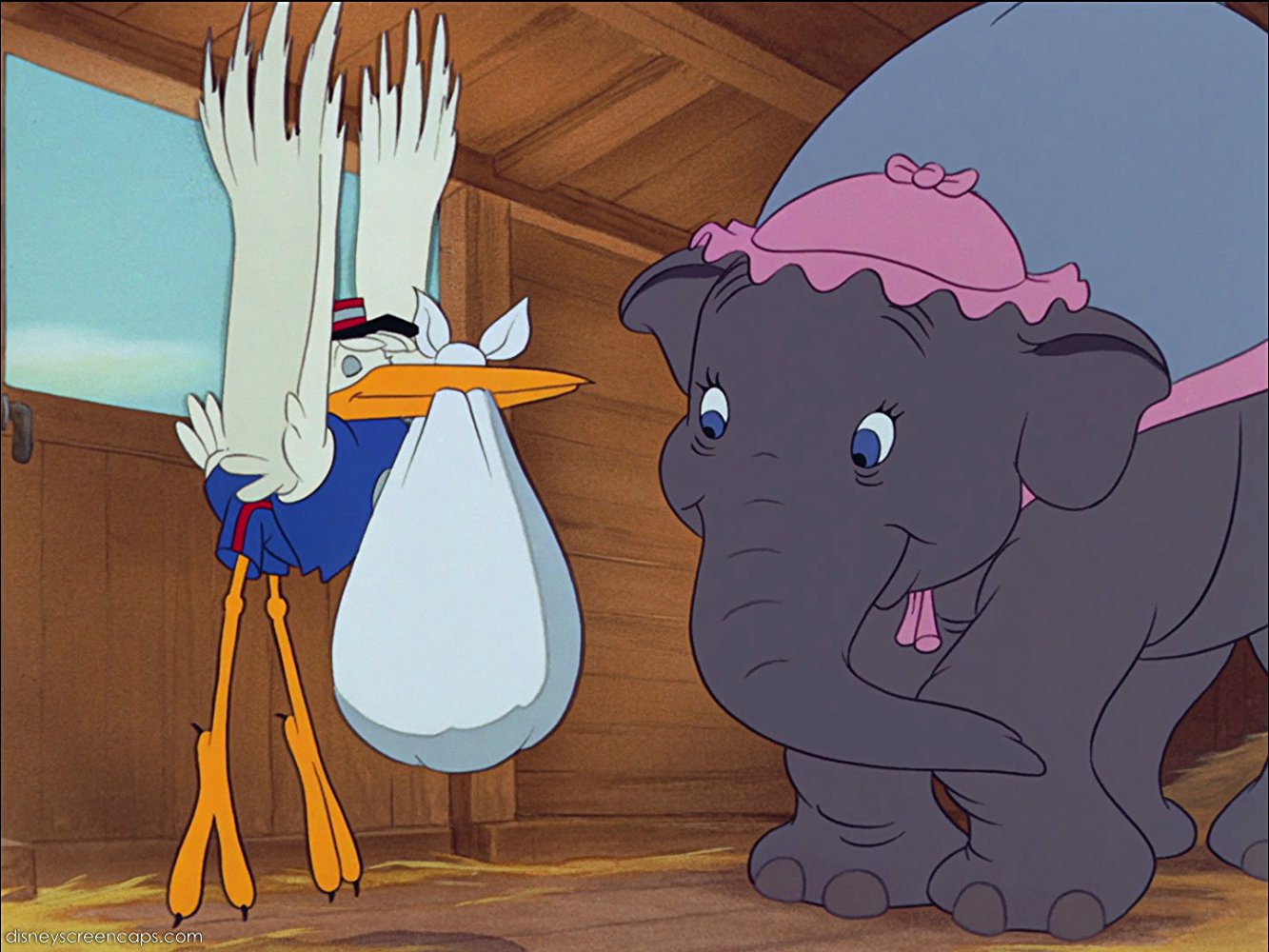 Mr. Stork