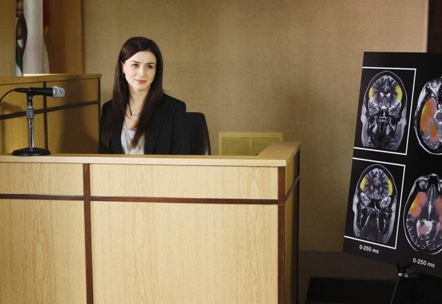 Dr. Amelia Shepherd