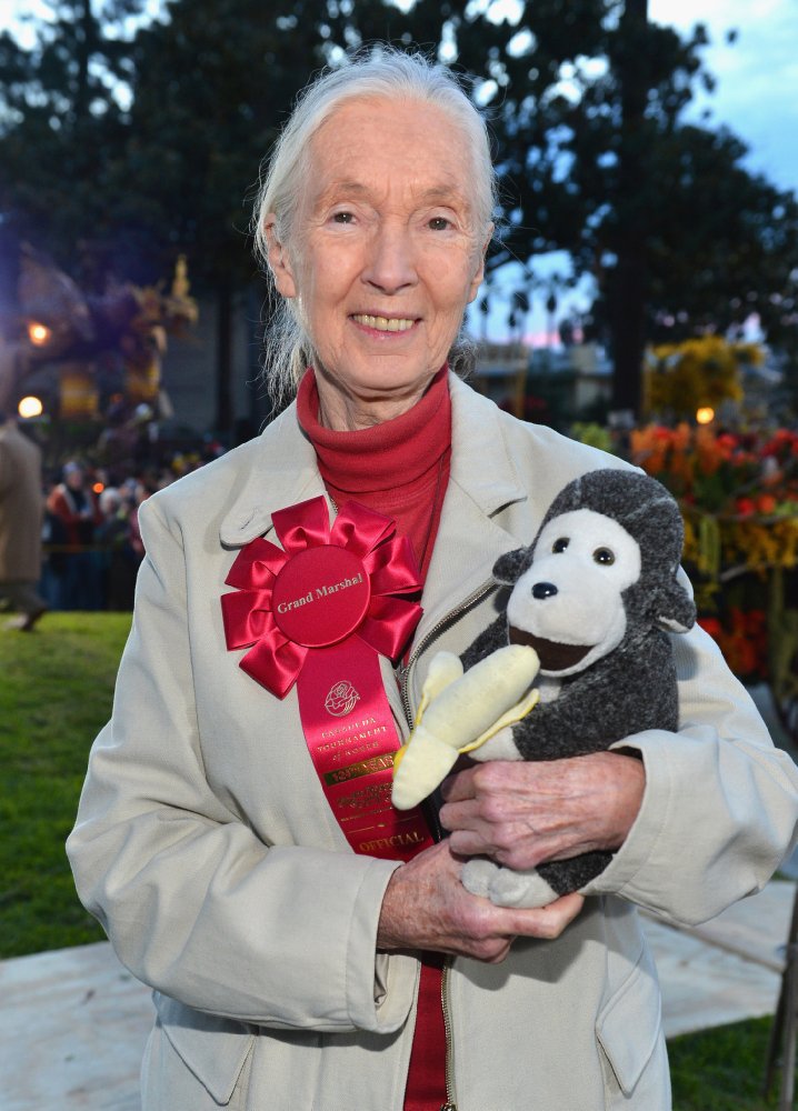Jane Goodall