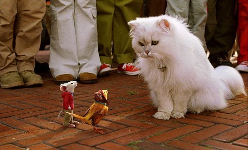 Snowbell